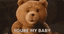 a teddy bear is saying `` you 're my baby '' .