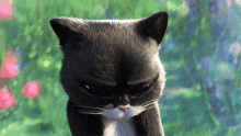 Cute Face Kitty Softpaws GIF - Cute Face Kitty Softpaws Puss In Boots The Last Wish GIFs
