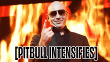 Pitbull Fireball GIF - Pitbull Fireball Intensifies GIFs