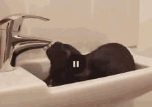 Cat Licking GIF - Cat Licking Water GIFs