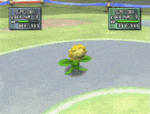 sunflora sunflower razor leaf pokemon game