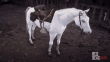 Love Red Dead Redemtion Ii GIF - Love Red Dead Redemtion Ii GIFs