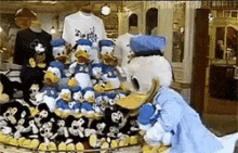 Donald Duck Mean GIF - Donald Duck Mean Not GIFs