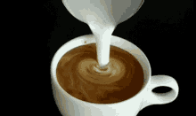 Kava Coffee GIF - Kava Coffee Milk GIFs