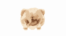 the word twerk is surrounded by teddy bears on a yellow background