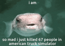Pufferfish Puffer Fish GIF - Pufferfish Puffer Fish American Trucking Simulator GIFs