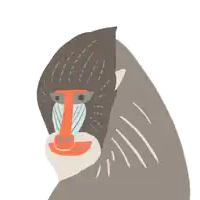 a drawing of a baboon with a t on its face