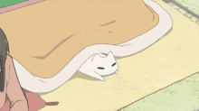 nichijou anime kyoto animation kotatsu cat