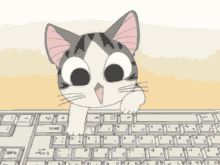 Cat Keyboard GIF - Cat Keyboard Lol GIFs