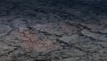a close up of a cartoon character 's legs with a red claw