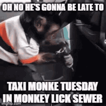 Taxi Monke Tuesday Monkey Lick Sewer GIF - Taxi Monke Tuesday Monkey Lick Sewer Monke GIFs