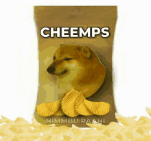 Cheem GIF - Cheem GIFs