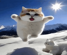 Joy Snow Day GIF - Joy Snow Day Happy Cat GIFs