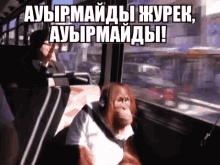 Orangutan Bus Ride GIF
