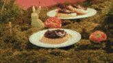 two plates of cookies with chocolate frosting sit on a mossy field