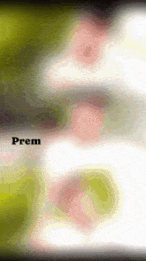 Prem8 Ap GIF - Prem8 Ap Pnm GIFs