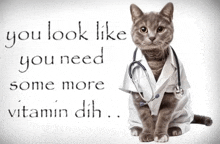 a cat dressed as a doctor with the words you look like you need some more vitamin dih behind it