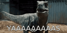 Hell Yes GIF - Hell Yes Dinosaur GIFs