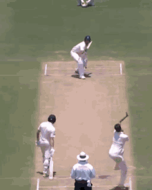 Bouncer Cricket GIF