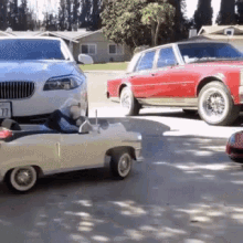 Dog Driving GIF - Dog Driving They See Me Rollin GIFs