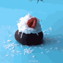 a close up of a dessert with raspberries and whipped cream with the words mr.cakes below it