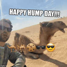 a happy hump day greeting with a picture of a man and a camel