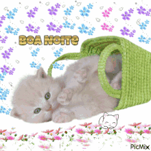 Boa Noite Good Night GIF - Boa Noite Good Night Cat GIFs