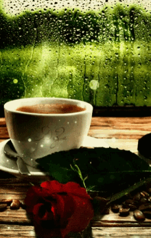Coffee Red Rose GIF - Coffee Red Rose Morning GIFs