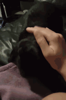 Cute Animals Soft And Fluffy GIF - Cute Animals Soft And Fluffy GIFs