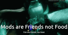 Mods Are Friend Not Food Discord Mod GIF
