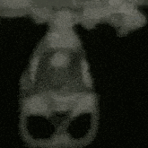 Aintnaurway Skeleton GIF - Aintnaurway Skeleton Ceiling Fan GIFs