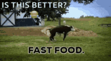 Fast Fast Food GIF - Fast Fast Food GIFs