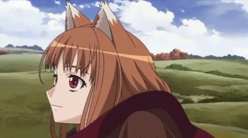 Holo Spice And Wolf Anime GIF - Holo Spice And Wolf Anime Cartoon -  Discover & Share GIFs
