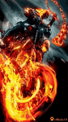 Ghost Rider Flames GIF - Ghost Rider Flames Motorcycle GIFs