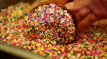 Donuts GIF - Donuts Sweets Candy GIFs