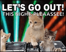 three kittens are playing music on a turntable with the words let 's go out this night pleaassee !