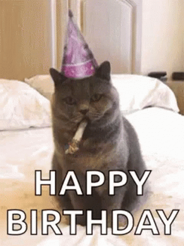 Happy Birthday Cat GIF - Happy Birthday Cat Cute - Discover ...
