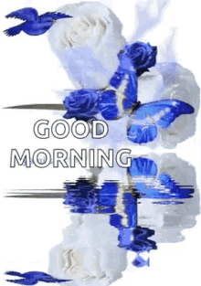 good morning sparkles flowers blue rose butterfly