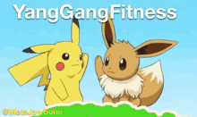 yang gang fitness yang gang pokemon eevee pikachu