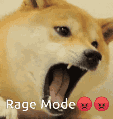 Doge Rage Mode GIF - Doge Rage Mode Mad GIFs