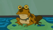 Frog Staring GIF - Frog Staring Trippy Eyes GIFs