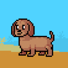 a pixel art dog wearing a sombrero on the beach