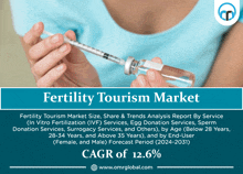 Fertility Tourism Market GIF