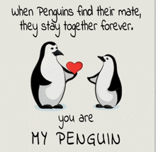 a couple of penguins holding a heart with the words " you are my penguin " below them