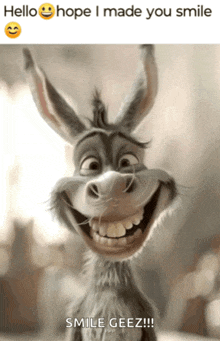a picture of a donkey with a caption that says hello hope i made you smile smile geez !!!