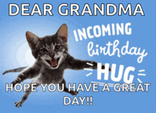 a picture of a cat with the words " dear grandma incoming birthday hug hope you have a great day !! "