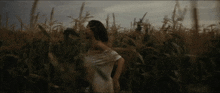 a woman in a white dress stands in a corn field