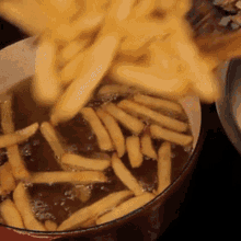 Fries Cheese GIF