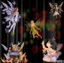 fairy fairies