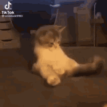 GIF
